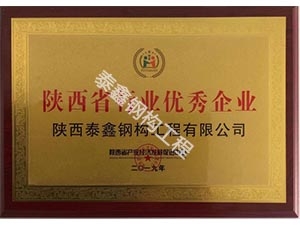 漢中陜西省行業優.秀企業